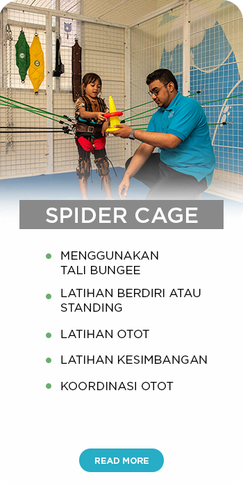Spider Cage